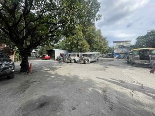 1-Hectare Commercial Lot Along M. Concepcion Avenue, Pasig City