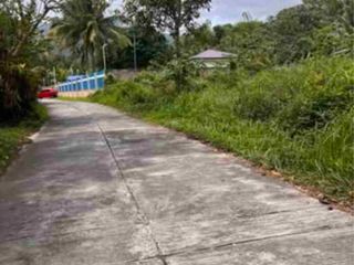 1000 sqm  Residential Lot for sale in Liptong Bacong