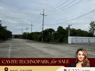 FOR SALE: Industrial Lot in Cavite Technopark