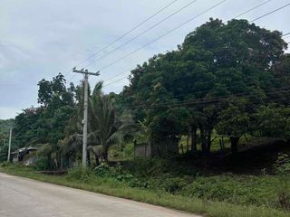 Agricultural lot for sale
