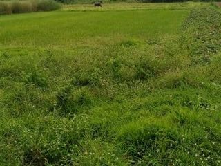 9266 sqm property along national Highway