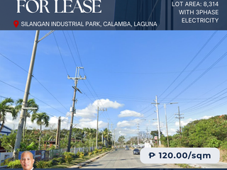 8,314 Open Yard in Laguna (cemented and w/electricity)
