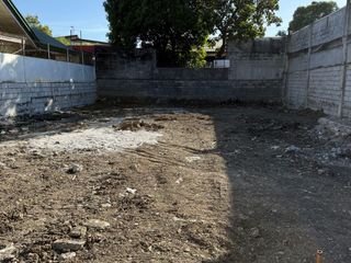 Lot for sale along Aguirre Avenue, BF Homes - Perfect for commercial