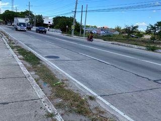 Commercial / Industrial Lot For Sale in Naic Cavite. Along the Main Road. 4.9has