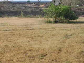 1000 sqm commercial lot