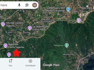 Laurel Batangas | Commercial Lot For Sale - #10338