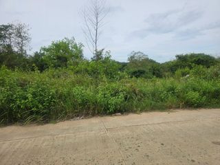 🌿 4-Hectare Clean Title Property for Sale – Trinidad, Bohol Prime Investment Opportunity in Northern Bohol