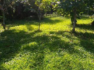 Lot along Andaya Highway Ideal for Commercial Use For Sale at Ragay Cam Sur Bicol