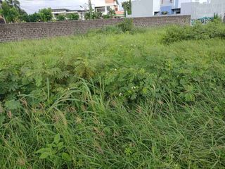 Commercial Lot for sale in Acropolis (Iloilo) 350sqm