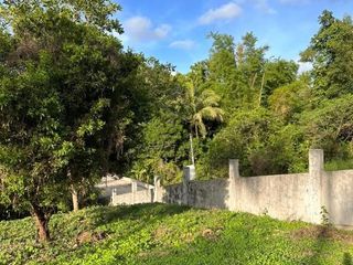 Farm Lot For Sale in Maragondon Cavite (with small house) -MC