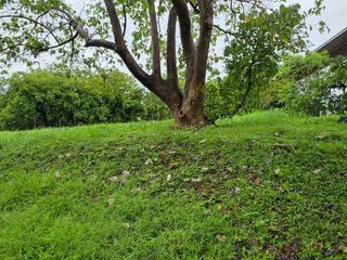 🌿 PREMIUM RESIDENTIAL LOTS FOR SALE  | Anvaya Cove, Morong, Bataan South Grove & Vista Mangrove