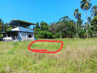 FOR SALE  RESIDENTIAL LOT ONLY IN PLANTATION DALIAON TORIL DAVAO
