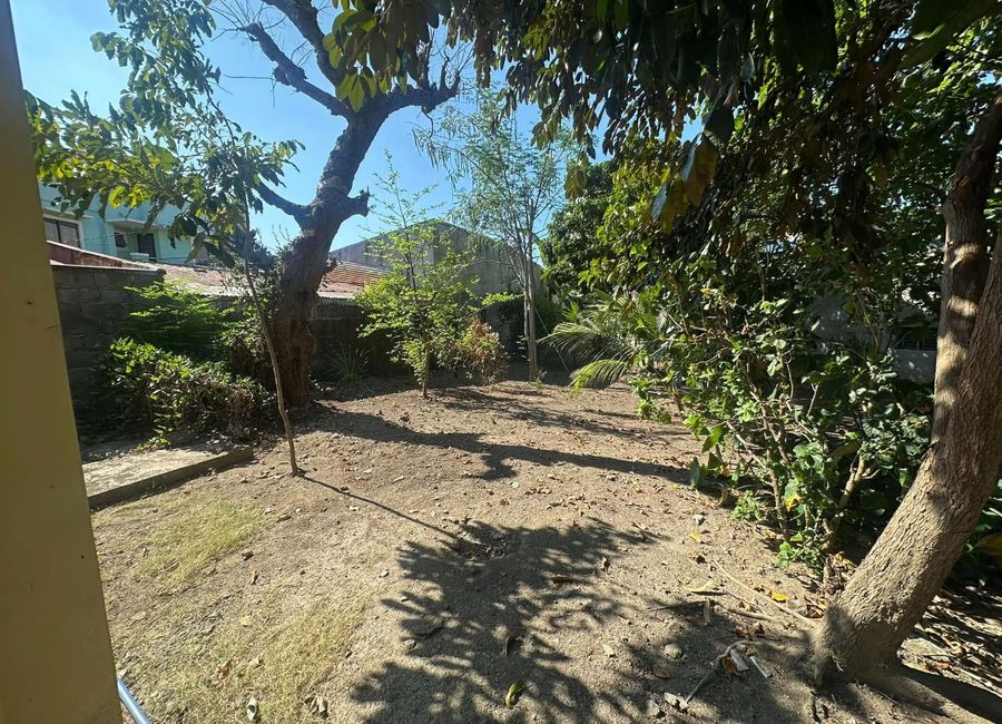 place photo 52