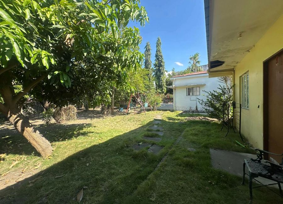 place photo 44