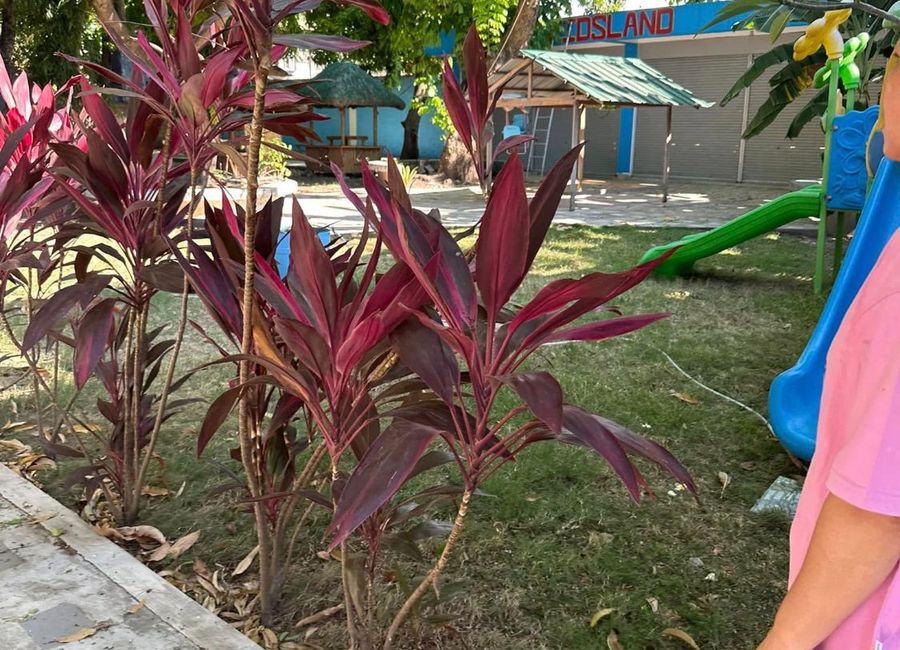 place photo 47