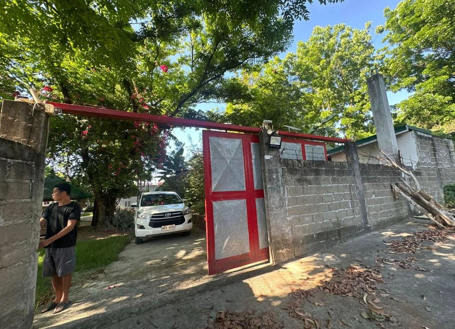 place photo 48
