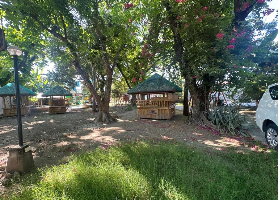 place photo 50