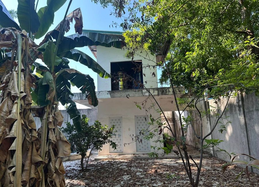 place photo 42