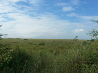 LOT FOR SALE: 1,471sqm Residential Lot in Dasmariñas, Cavite - The Courtyards at Vermosa