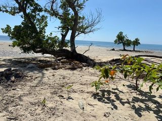2,500per sqm Beachfront Farm Lot for Sale in Roxas, Palawan | Clean Title