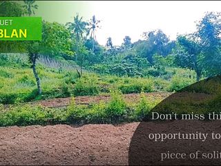 2.6 Hectars Agricultural Lot in Sablan Benguest For Sale - LSS