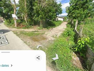 2,171 sqm Basdiot Moalboal Residential Lot for Sale
