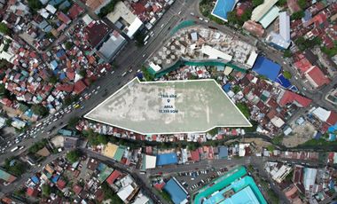 LOT FOR SALE I N. Bacalso, Cebu City - 12,355 SQM