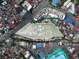LOT FOR SALE I N. Bacalso, Cebu City - 12,355 SQM