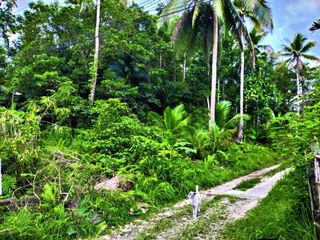 Agricultura/ Residential Lot for sale