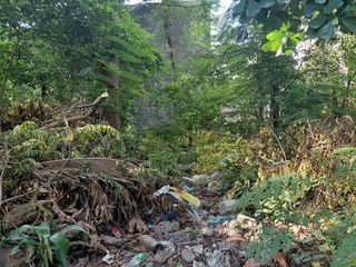 Lot in BF Homes Deparo Caloocan