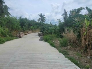 3,000 sqm Lot along the road in Brgy. Malabag, Silang Cavite for SALE! CLEAN TITLE, 8k per sqm