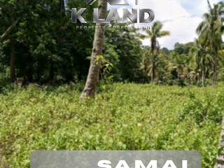 🌿 2 HECTARES AGRICULTURAL LOT FOR SALE – Kaputian District, Samal Island
