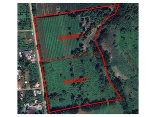 WIDE FRONTAGE LOT FOR SALE ALONG THE MAIN ROAD OF DAMILAG, MANOLO FORTICH, BUKIDNON