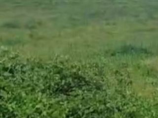 For Sale 10,000 sqm Agricultural Lot in Porac, Pampanga