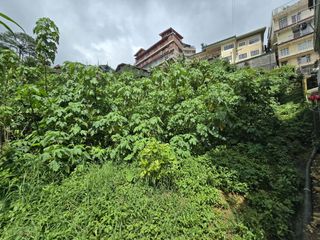 Titled Lot for Sale in Pico, La Trinidad