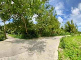 100sqm Residential Farm Lot in Sambaludan, Oton Iloilo