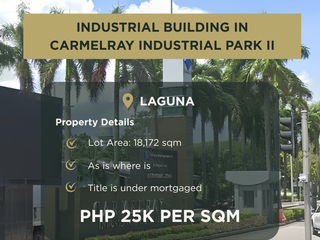 Prime 18,172 sqm Industrial Property for Sale in Carmelray Industrial Park, Laguna