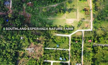 Affordable Farmlot for Sale in Alfonso Cavite