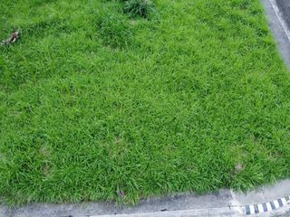 320 sqm. Corner Lot for Sale in South Midland, Silang Cavite Near Tagaytay