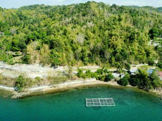 1.65 Hectares Front Beach Guimaras