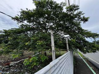 4000 sqm Commercial lot for lease - TANZA CAVITE
