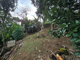 Titled Lot for Sale in Tony Agpaoa Drive, Camp 7, Baguio City