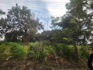 Lot for Sale (ideal for  farming & poultry) Hermosa Bataan