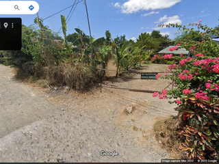 Farm Lot for Sale in Peneranda Nueva Ecija