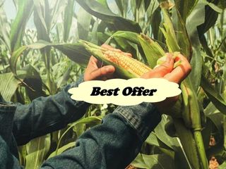 RUSH! FARM LOT for Sale in Laguna Philippines