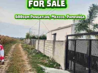 Mini Farmlot for Sale 600sqm Mexico Pampanga