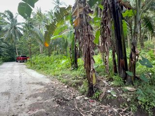Along the Road Residential Land For Sale