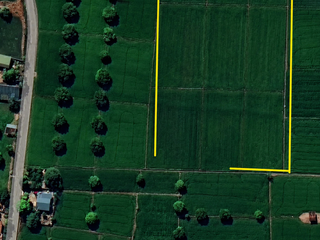 Farm Lot 18,922 sqm complete documents for Sale in Pulilan Bulacan