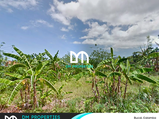 For Sale: 2 Adjacent Lots in Bucal, Calamba, Laguna