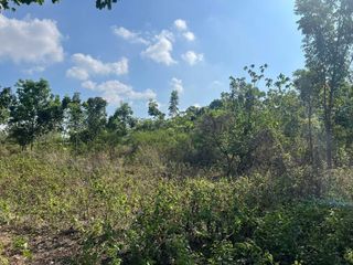 Agricultural Lot for Sale in Dauin, Negros Oriental